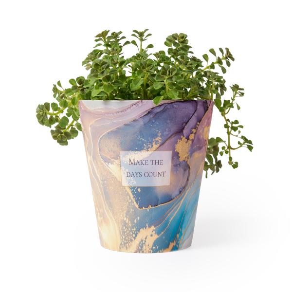 Bloempot