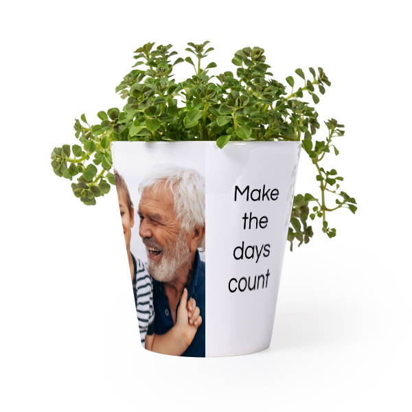 Pot de fleurs