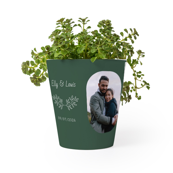 Blomkruka Blomkruka