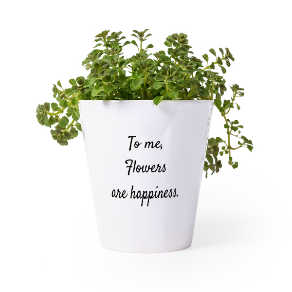 Flower Pot Flower Pot