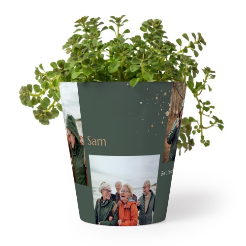 Gold Sparkles Party Gold Sparkles Party