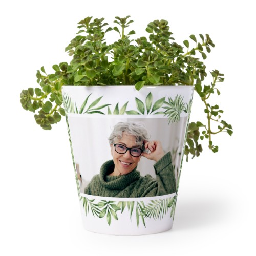 Flower Pot Flower Pot