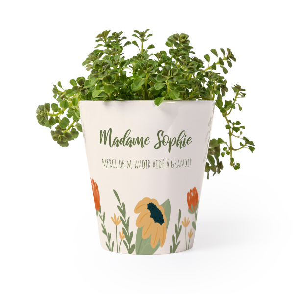 Pot de fleurs