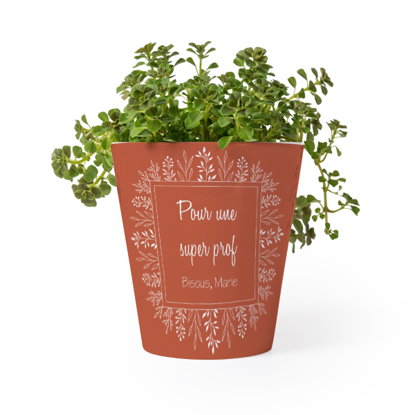 Pot de fleurs