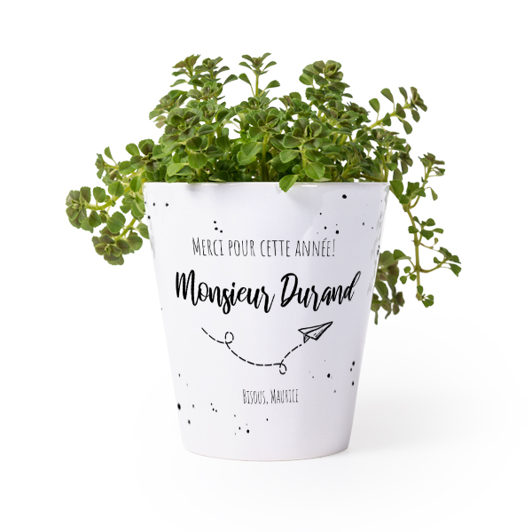 Pot de fleurs