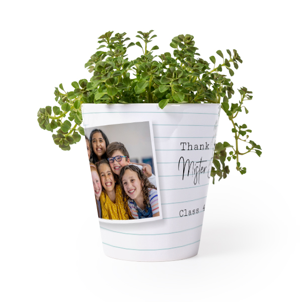 Flower Pot