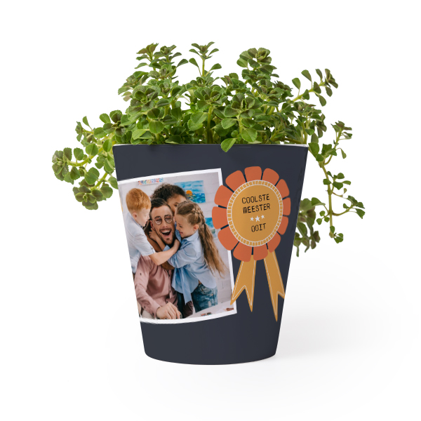 Bloempot Bloempot