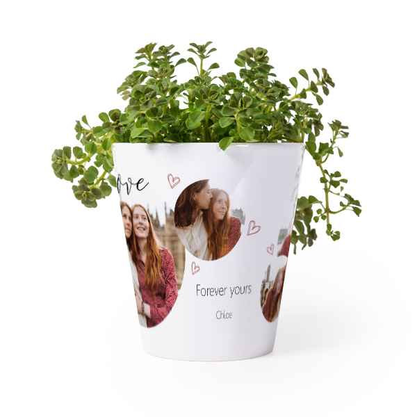 Flower Pot