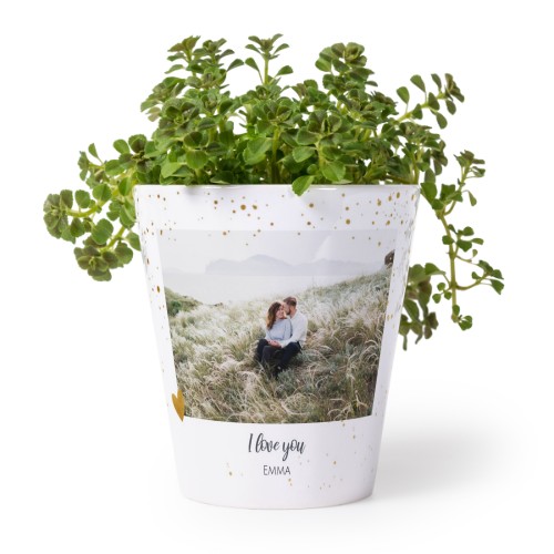 Flower Pot