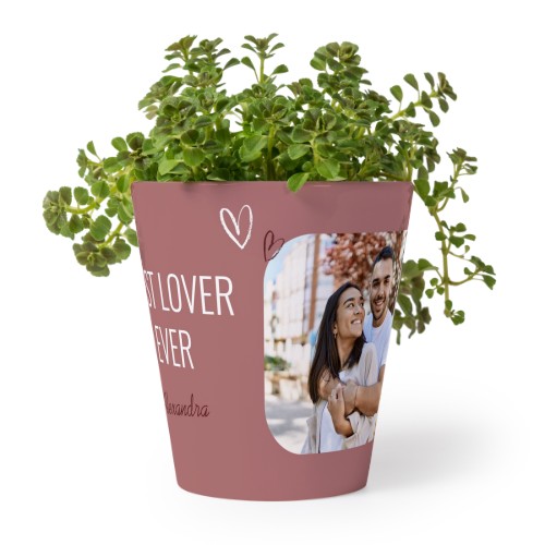 Bloempot Bloempot