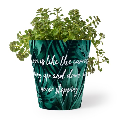 Flower Pot Flower Pot