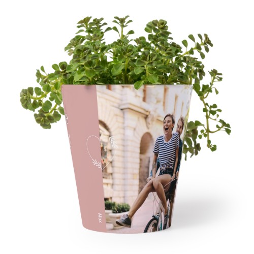 Blomkruka