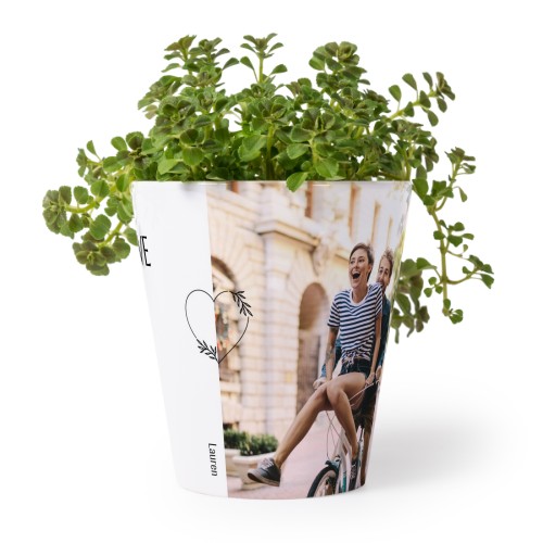 Flower Pot