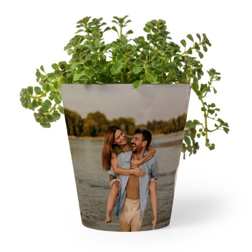 Bloempot