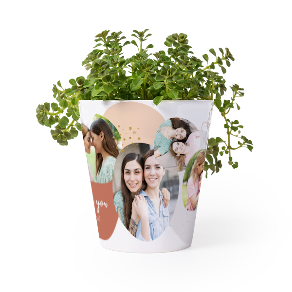 Flower Pot