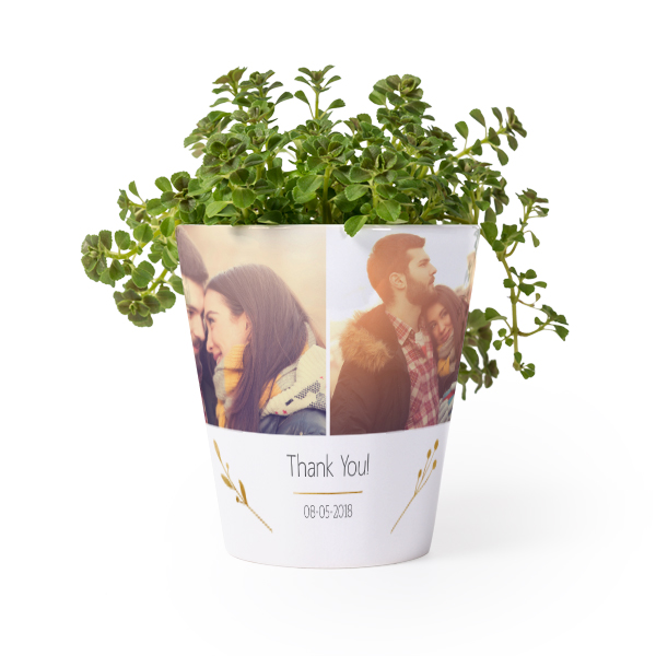 Bloempot Bloempot