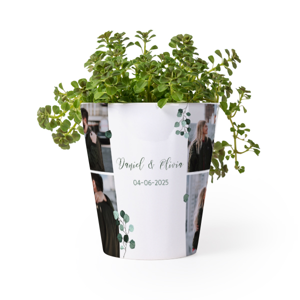 Flower Pot