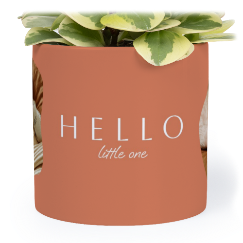 Organic Shape Warm Minimalism Organic Shape Warm Minimalism