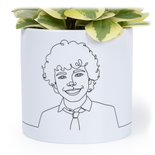 Single Plant Pot - Medium Single Plant Pot - Medium