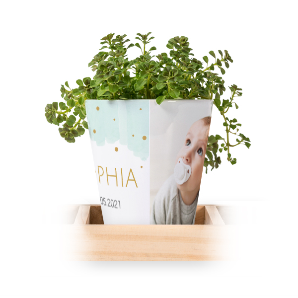 Flowerpot (Set of 3) Flowerpot (Set of 3)