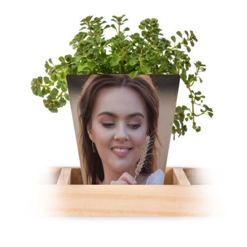 Photo Only Photo Only