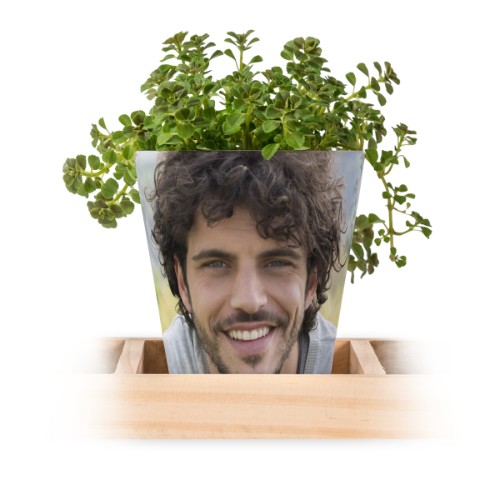 Photo Only Photo Only