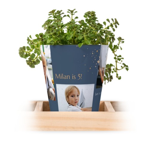 Gold Sparkles Party Gold Sparkles Party