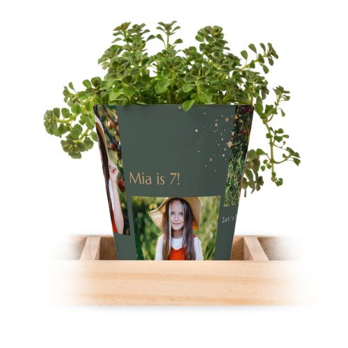 Bloempot (Set van 3)