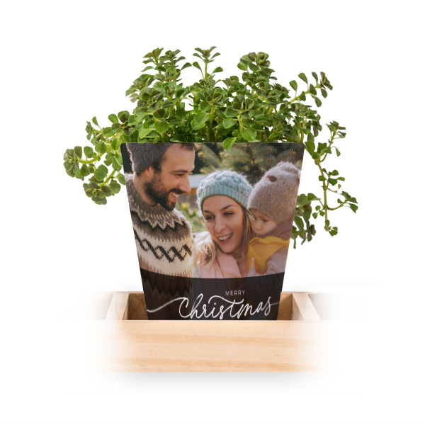 Christmas Quote Christmas Quote