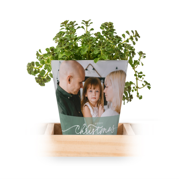 Christmas Quote Christmas Quote