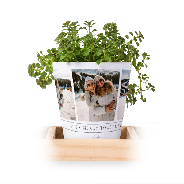 Lot de 3 pots avec plateau Lot de 3 pots avec plateau
