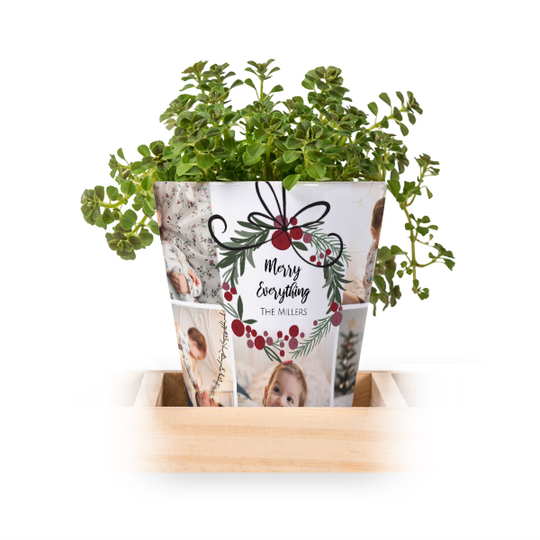 Lot de 3 pots avec plateau