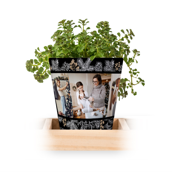 Elegant Xmas Wreath Elegant Xmas Wreath