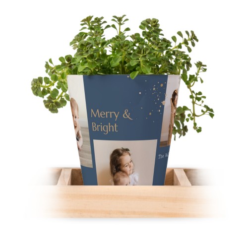 Gold Sparkles Party Gold Sparkles Party