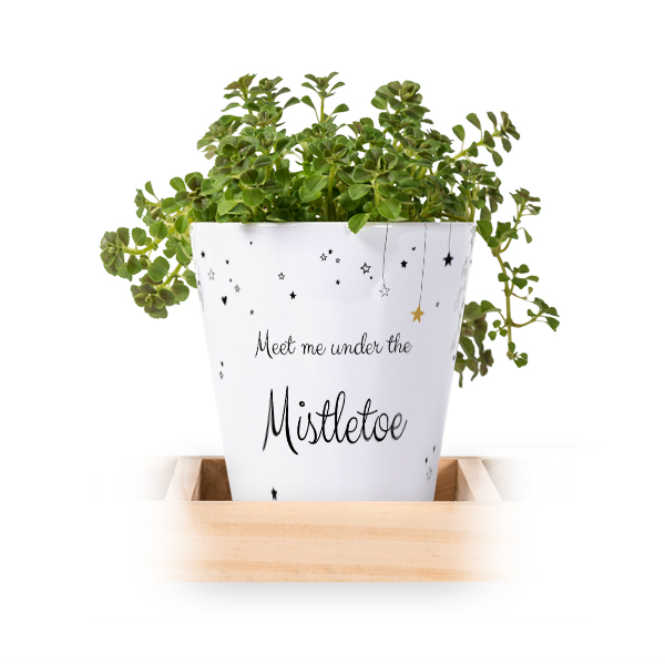 Flowerpot (Set of 3)