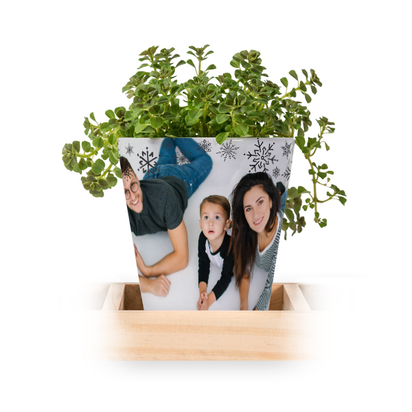 Flowerpot (Set of 3)