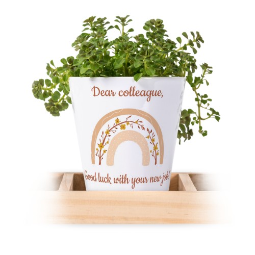 Lot de 3 pots avec plateau