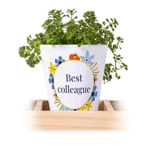 Bloempot (Set van 3)
