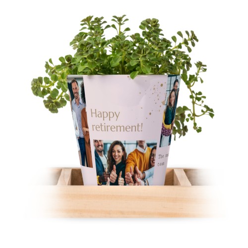 Gold Sparkles Party Gold Sparkles Party