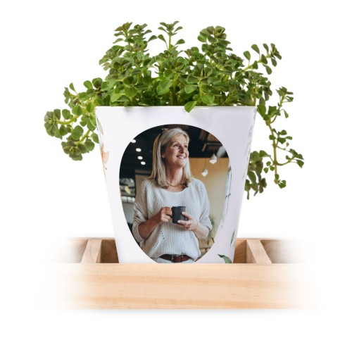 Urtepotte (Sæt med 3)