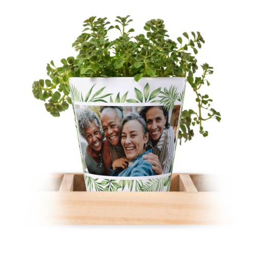 Lot de 3 pots avec plateau Lot de 3 pots avec plateau