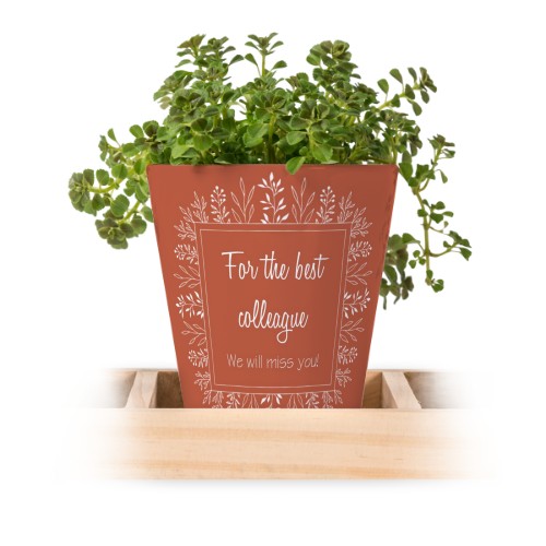 Lot de 3 pots avec plateau