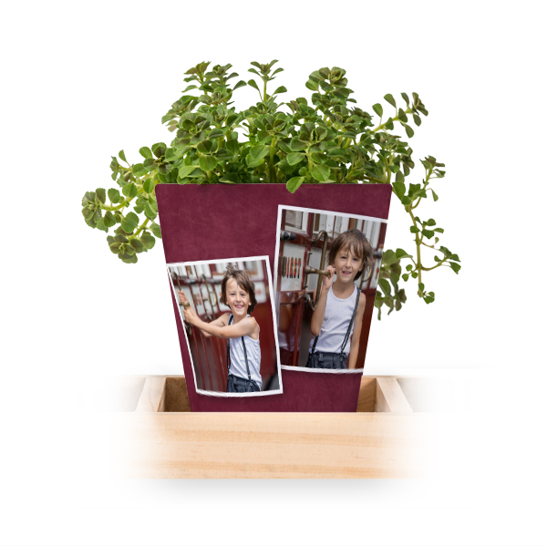 Blumentopf (3er Set) Blumentopf (3er Set)