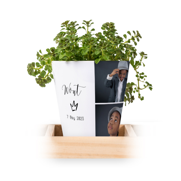 Flowerpot (Set of 3)