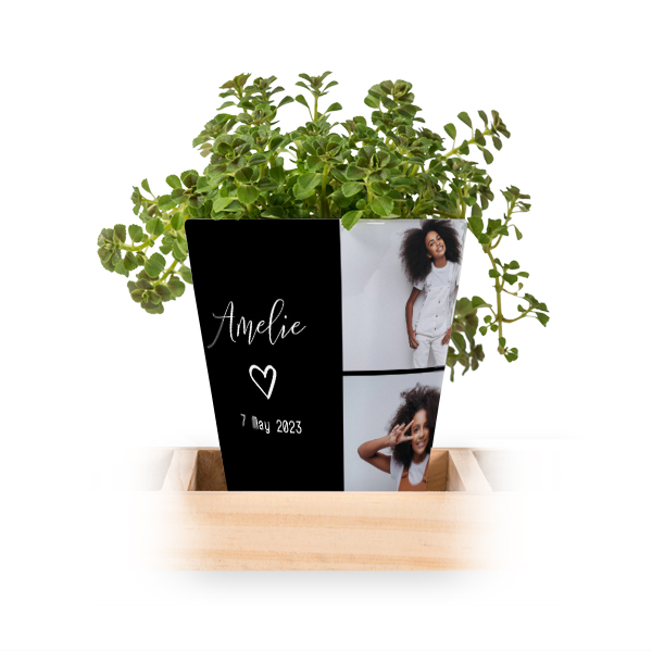 Bloempot (Set van 3)