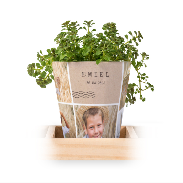 Lot de 3 pots avec plateau