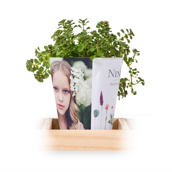 Flowerpot (Set of 3)