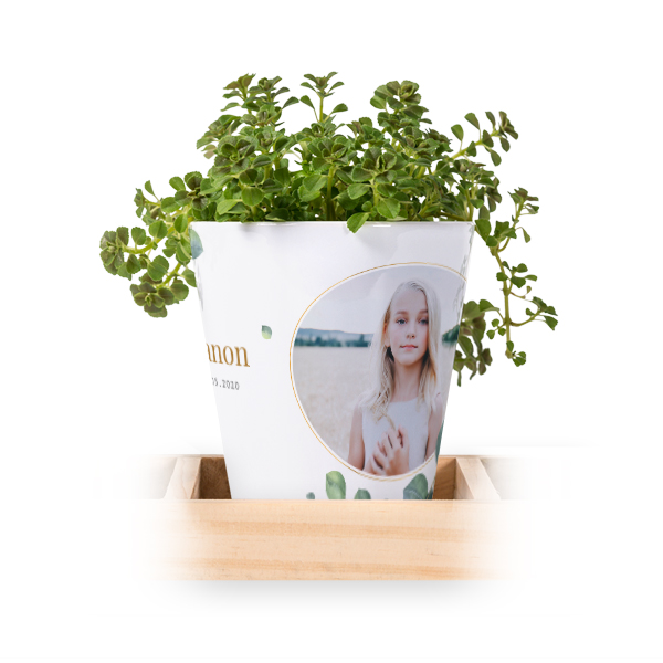 Lot de 3 pots avec plateau