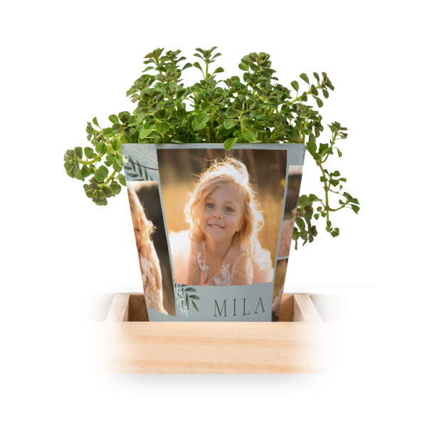 Bloempot (Set van 3)