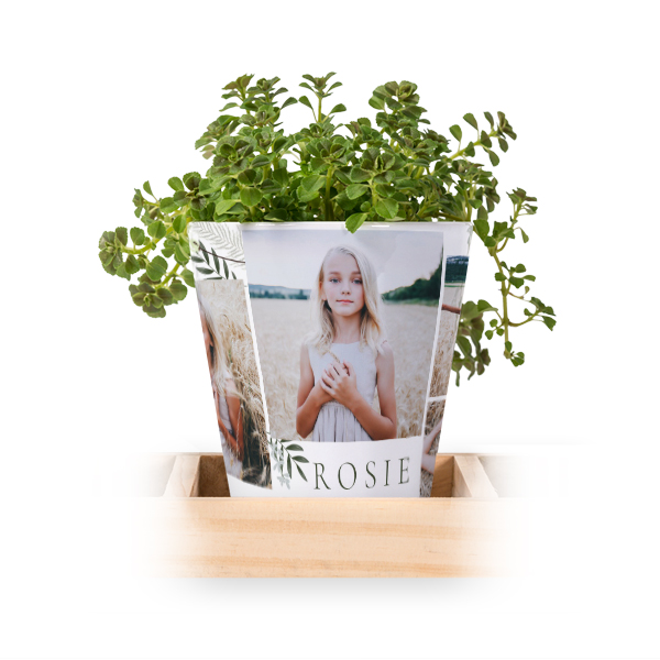 Bloempot (Set van 3)